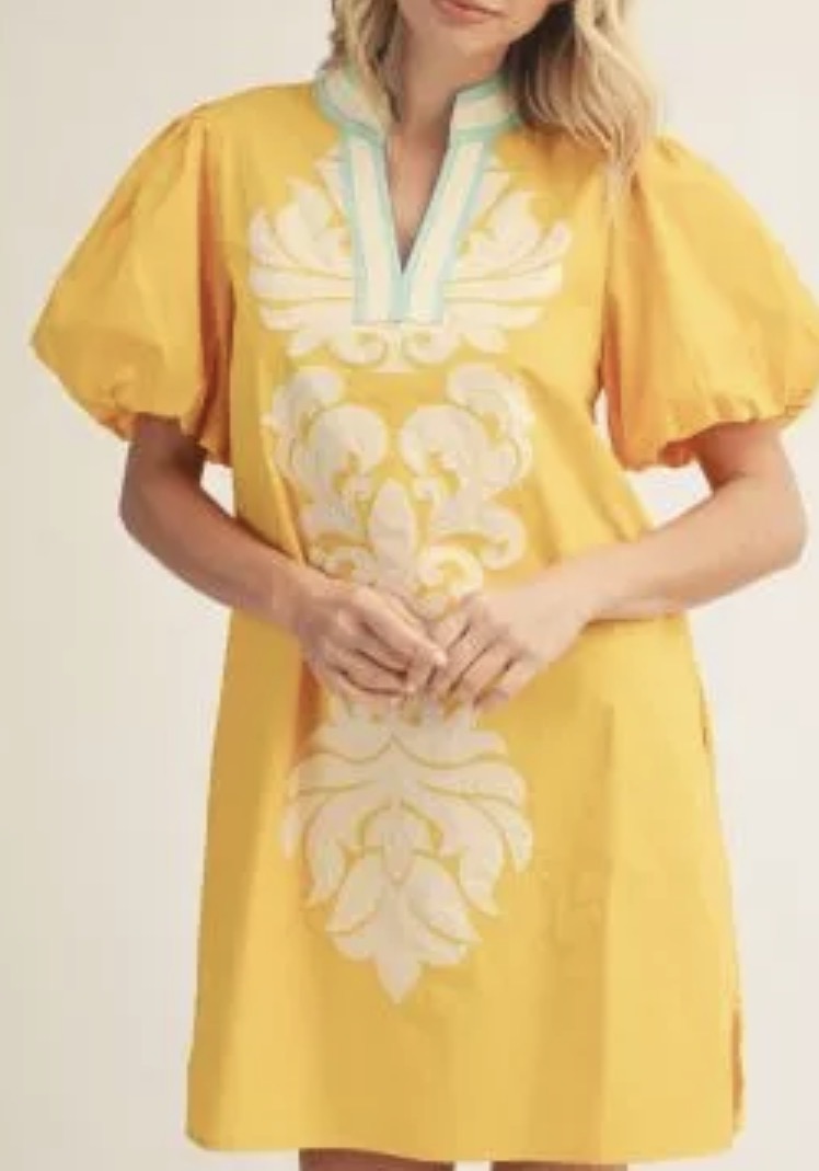 Ella embroidered short dress