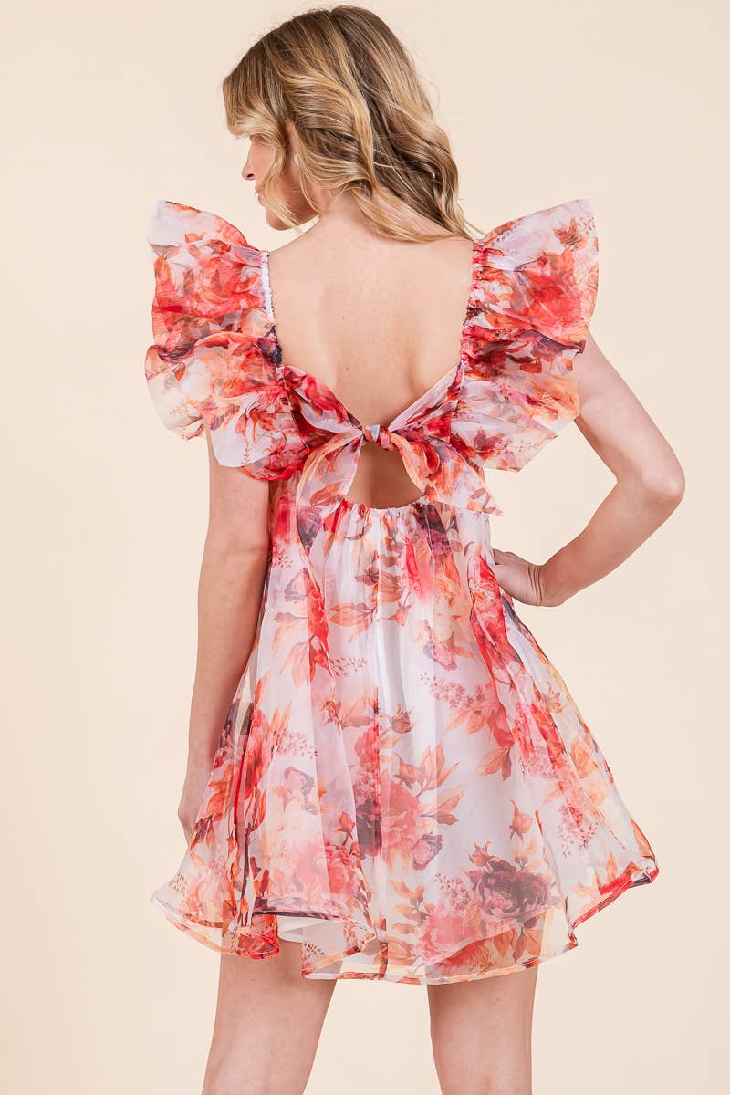 Prissila Sleeve Tie Back Mini Dress. new