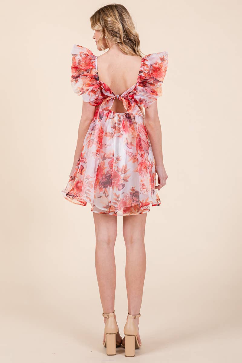 Prissila Sleeve Tie Back Mini Dress. new