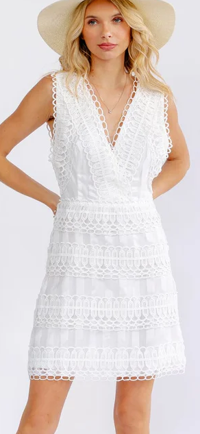 Vicky v neck embroidery lace mini dress