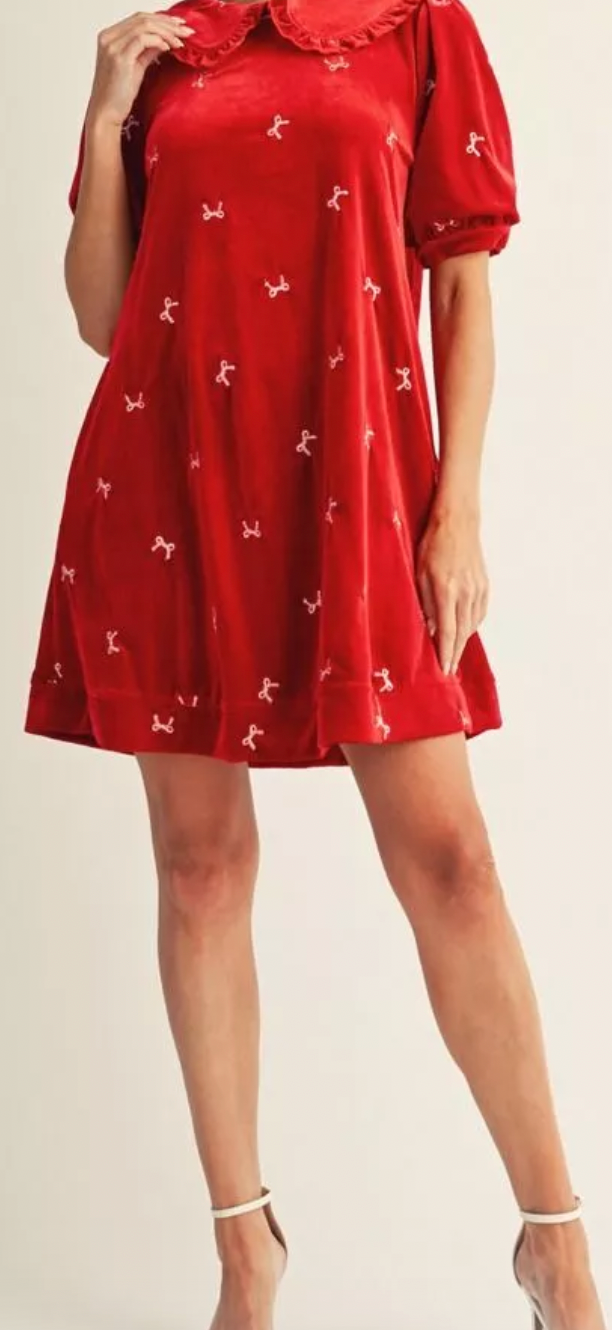 Winter velvet dress