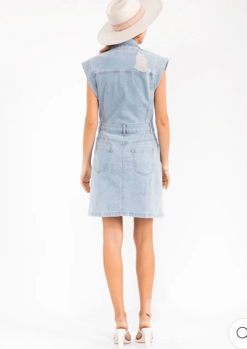 Dez distressed denim dress