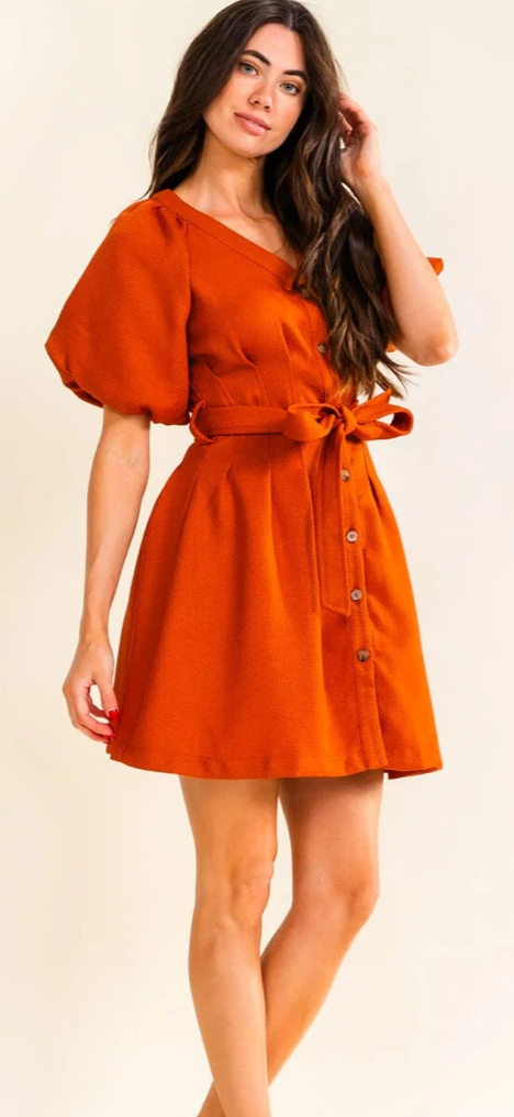 Ellis entro short puff sleeve