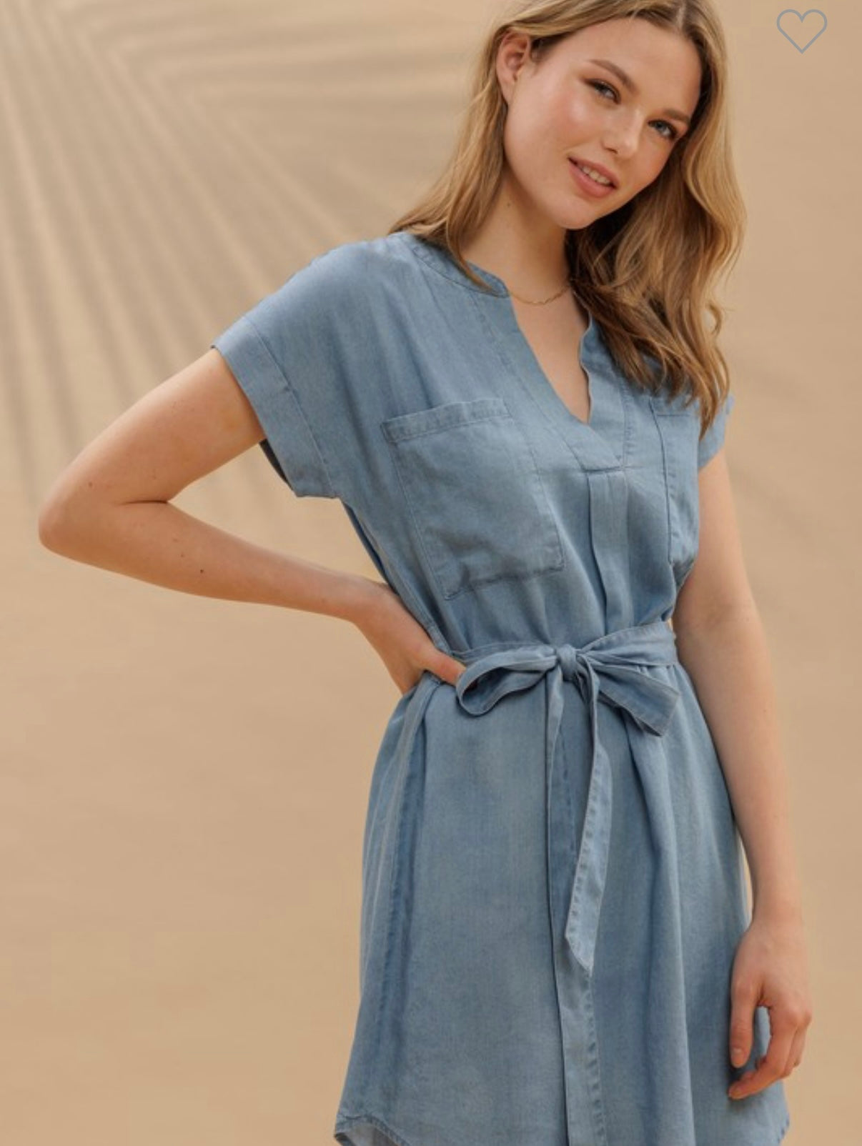 Char chambray belted dress