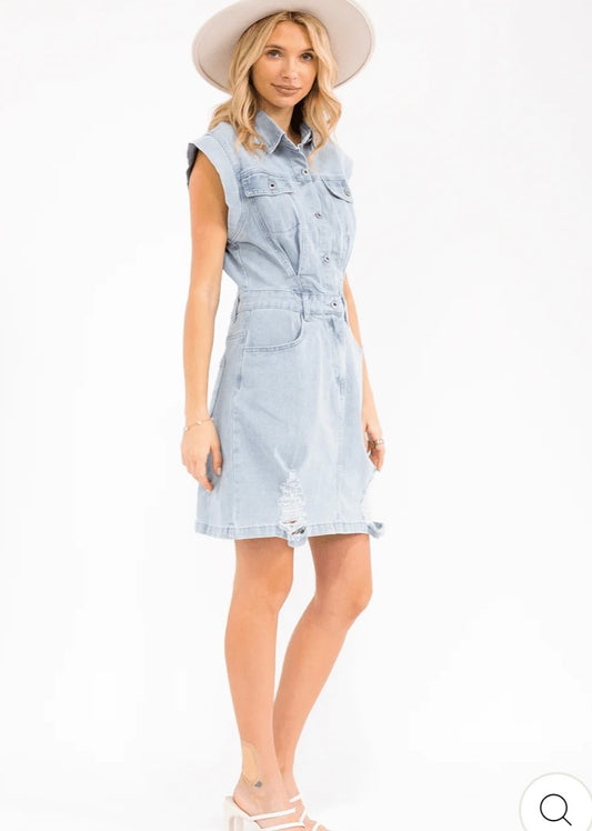 Dez distressed denim dress