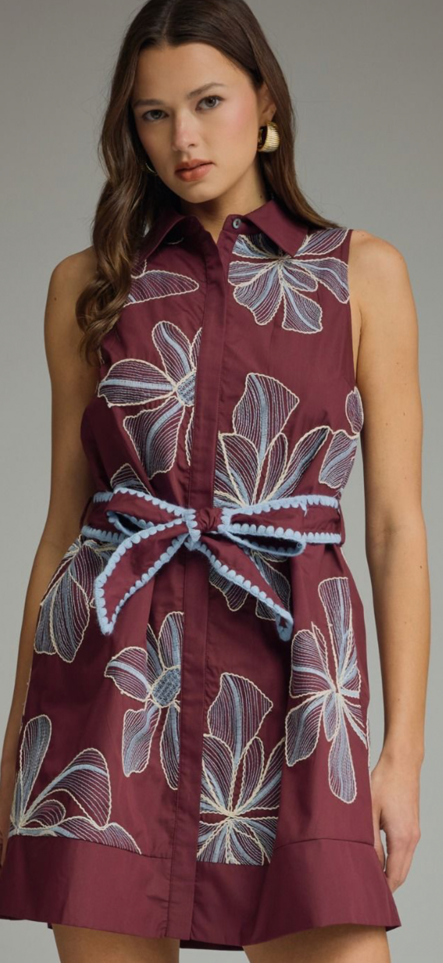 Ellie embroidered dream dress