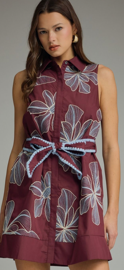 Ellie embroidered dream dress