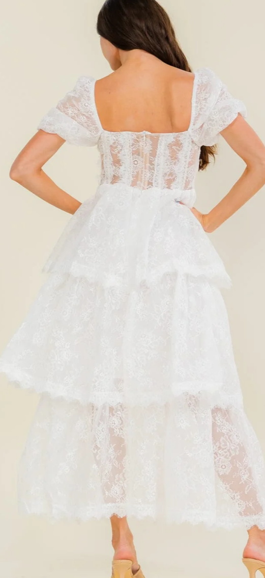 Fancy Nancy dress