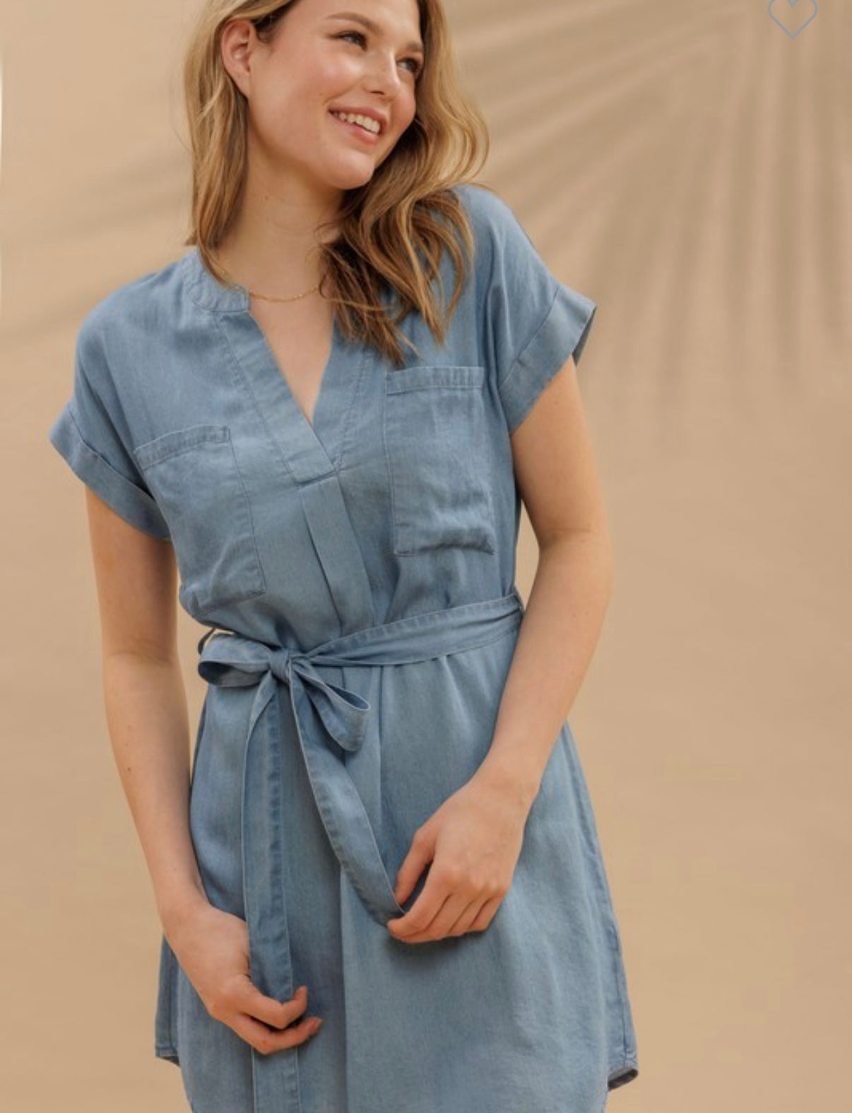 Char chambray belted dress