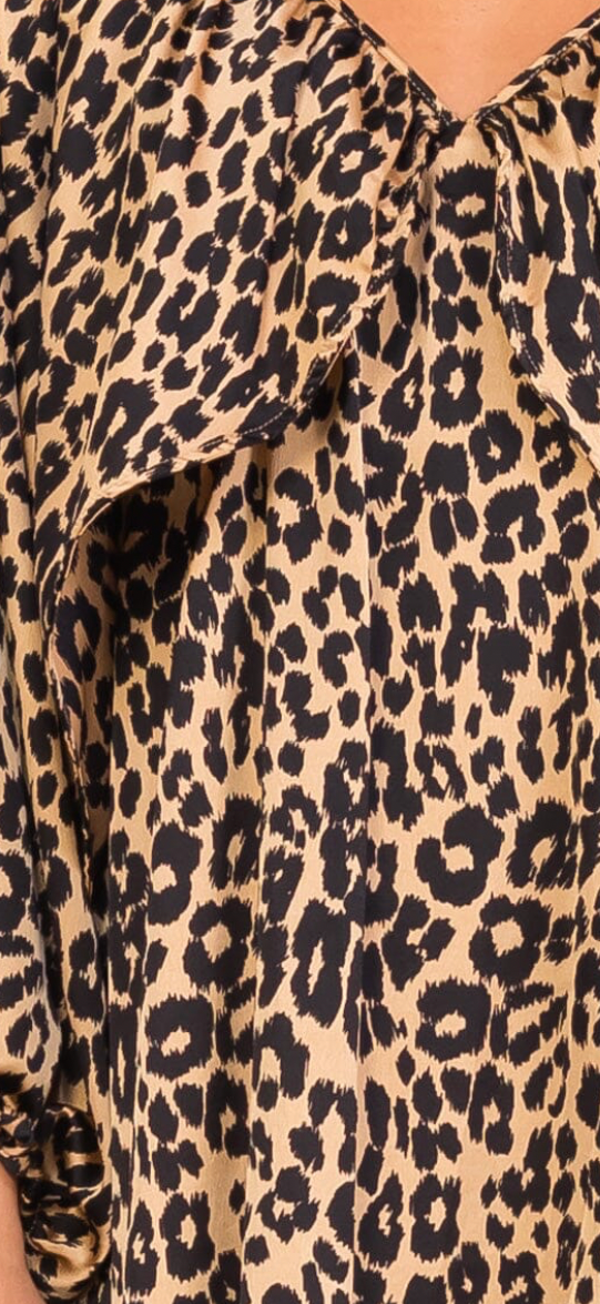 Luna leopard dress