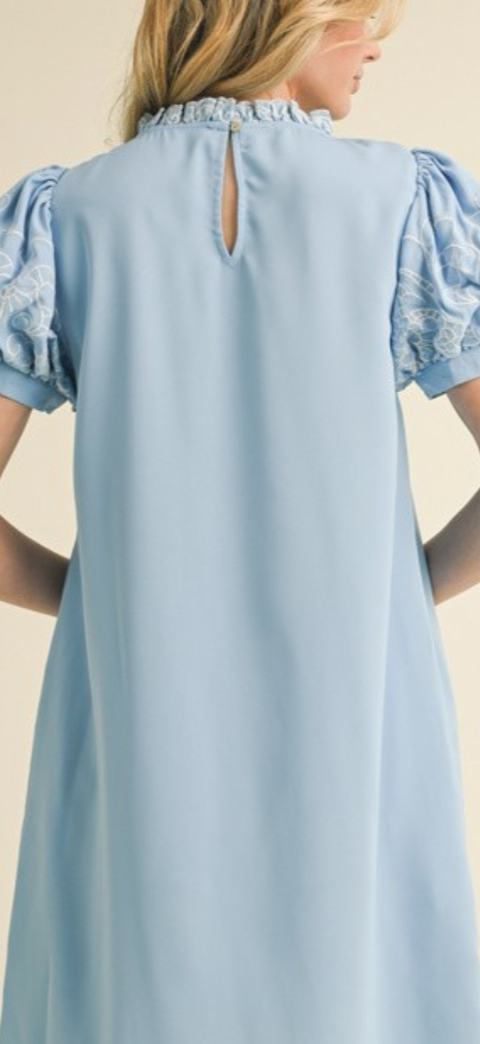 Emily embroidered puff sleeve dress