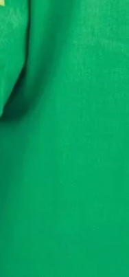 Limeade Dress