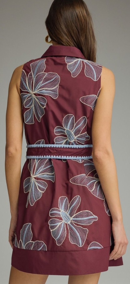 Ellie embroidered dream dress