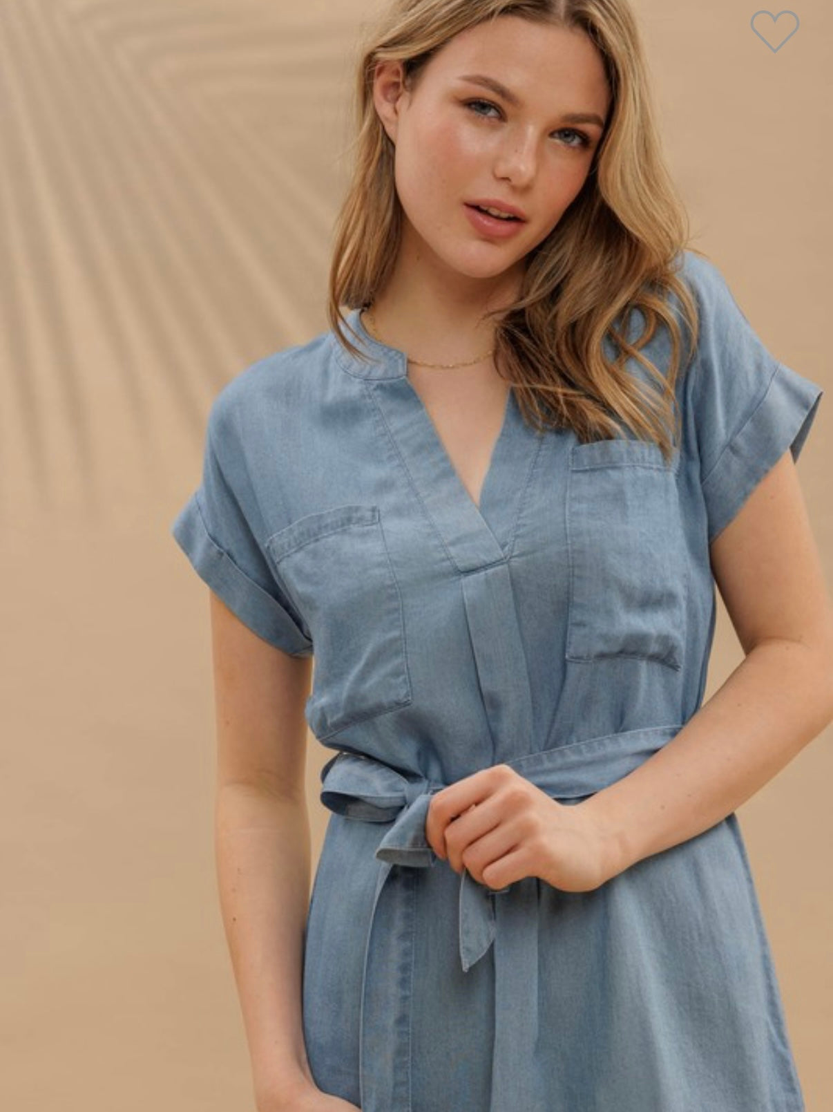 Char chambray belted dress